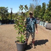 magnolia-kay-parris-35l4